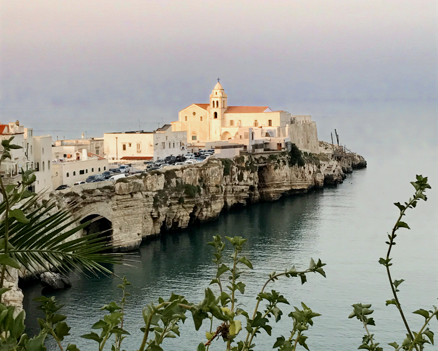 133. Vieste